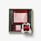 Solid Hankie & Lapel Pin Herren - Swiss-Crafting