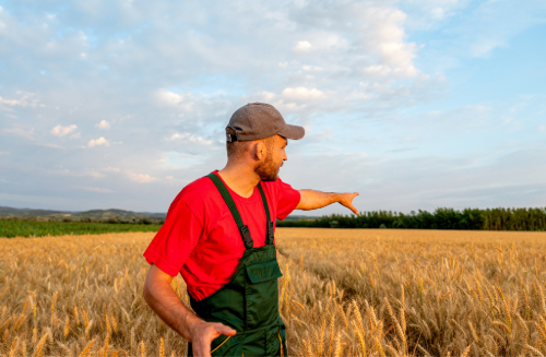 5630 Herren/LATZHOSE MIT KNIEVERSTÄRKUNG - Swiss-Crafting